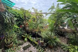 Pasir Ris Beach Park (D18), Semi-Detached #471234991